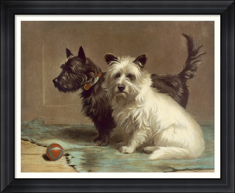 Framed Scotty and Khaki Print
