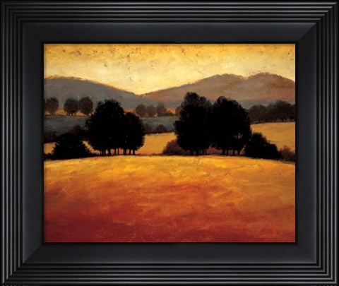 Framed Santa Ynez II Print