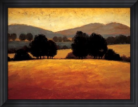 Framed Santa Ynez II Print