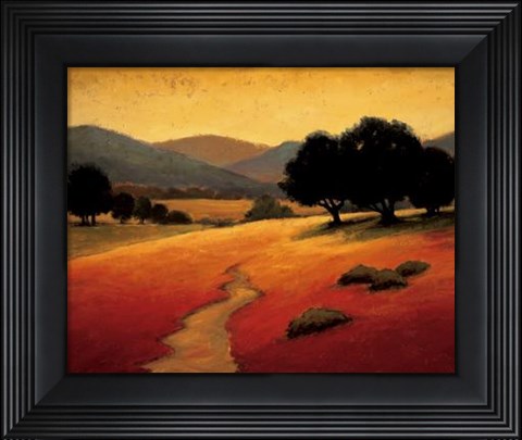 Framed Santa Ynez I Print