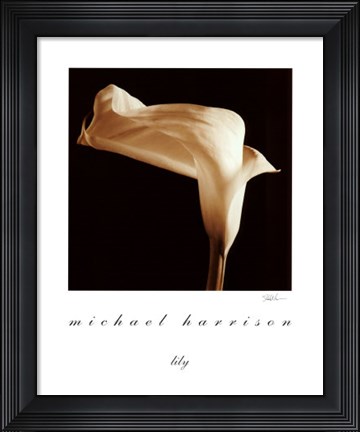 Framed Lily Print