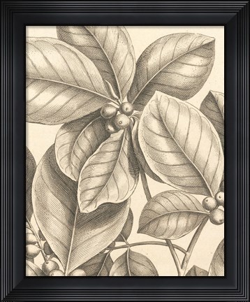 Framed Tropical Connection I Print