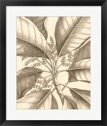 Framed Tropical Connection II Print