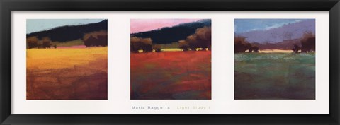 Framed Light Study I Print