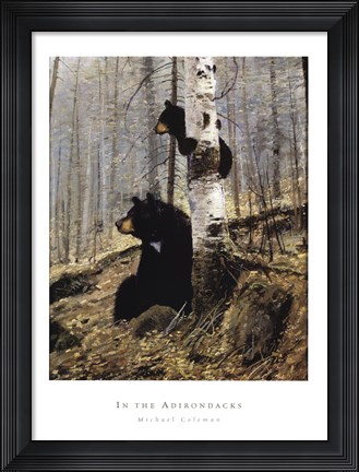 Framed In The Adirondacks Print