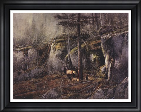 Framed In The Shadows Print