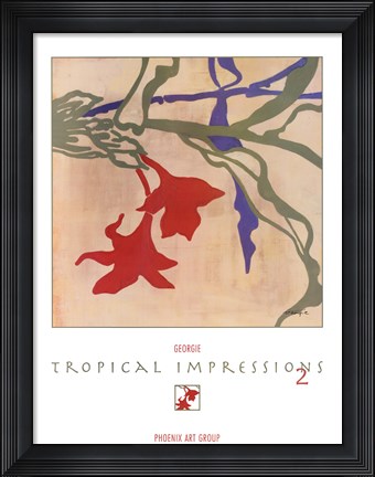 Framed Tropical Impressions 2 Print