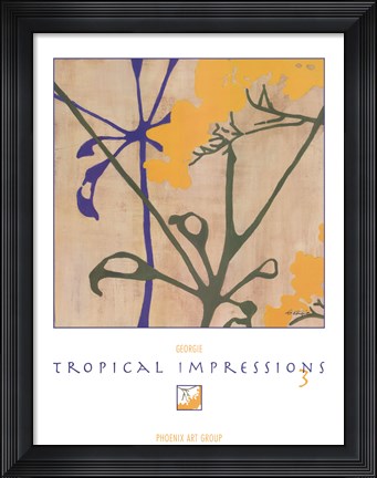 Framed Tropical Impressions 3 Print