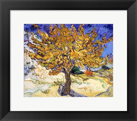 Framed Mulberry Tree in Autumn, c.1889 Print