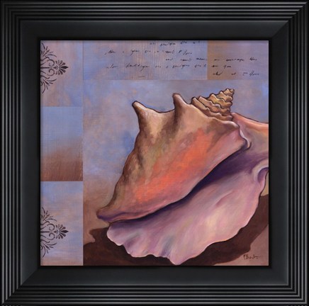 Framed Sanibel Conch Print