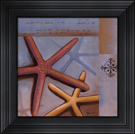 Framed Sanibel Starfish Print