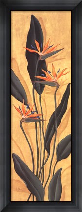 Framed Bird Of Paradise Print