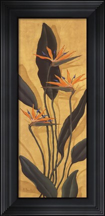 Framed Bird Of Paradise - Mini Print