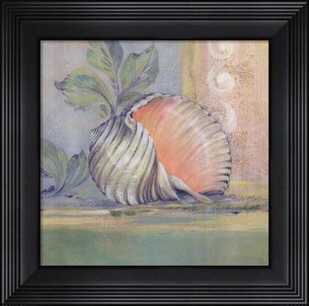 Framed Tranquil Seashells II Print