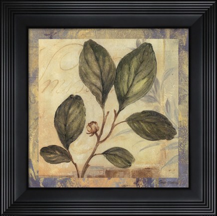 Framed Leaf Botanicals I Print