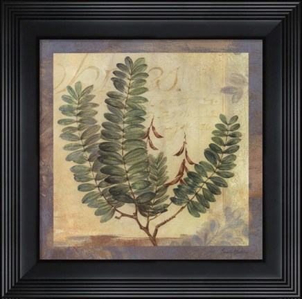 Framed Leaf Botanicals II Print