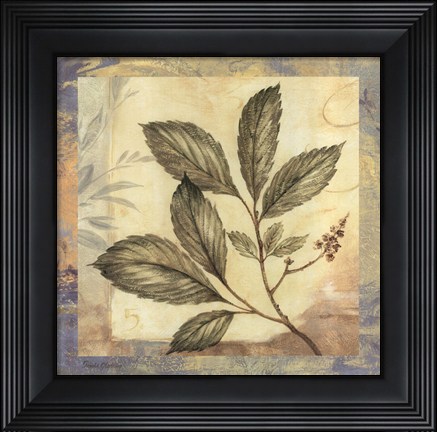 Framed Leaf Botanicals III Print
