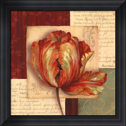 Framed Bella Donna I - Grande Print
