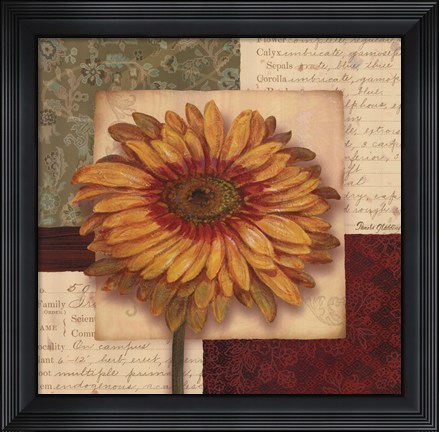 Framed Bella Donna III - Grande Print