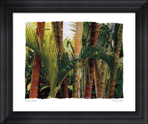 Framed Bamboo Ballet Print