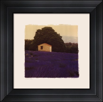 Framed Lavender Country - Mini Print