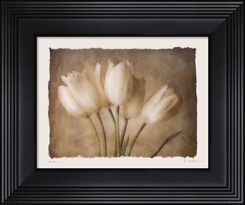 Framed Aria I - Mini Print