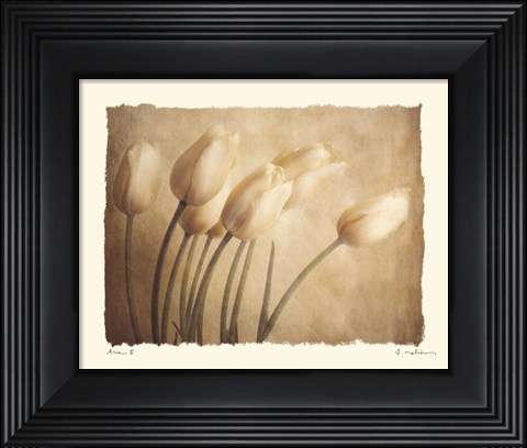 Framed Aria II - Mini Print