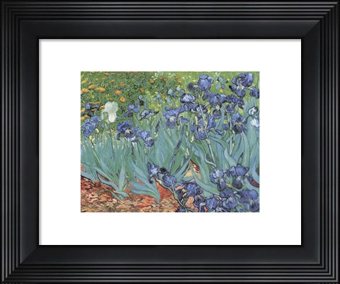 Framed Irises in the Garden, Saint-Remy, c.1889 Print