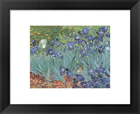 Framed Irises in the Garden, Saint-Remy, c.1889 Print