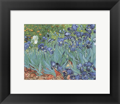 Framed Irises in the Garden, Saint-Remy, c.1889 Print