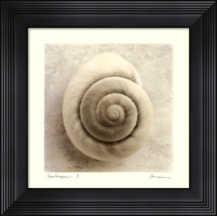 Framed Sea Shapes I Print