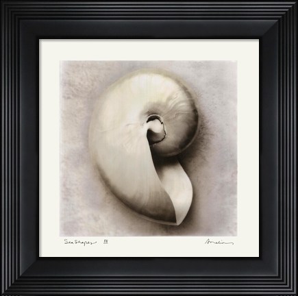 Framed Sea Shapes III Print