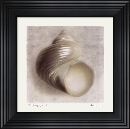 Framed Sea Shapes IV Print