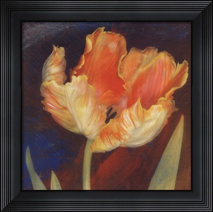 Framed Dusk Tulip I Print