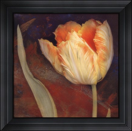 Framed Dusk Tulip II Print