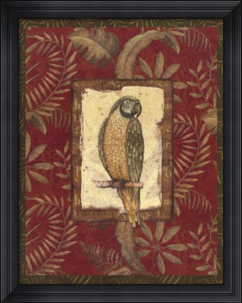Framed Exotica Parrot Print