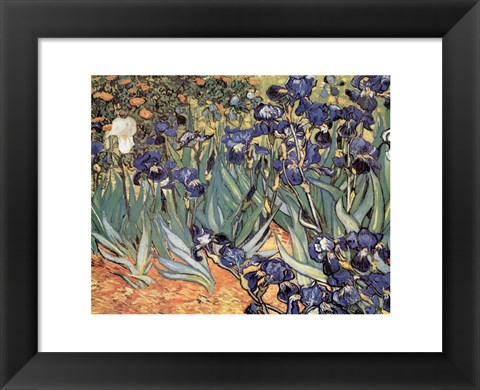 Framed Irises in the Garden, Saint-Remy, c.1889 Print