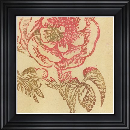Framed Coral Rose Print