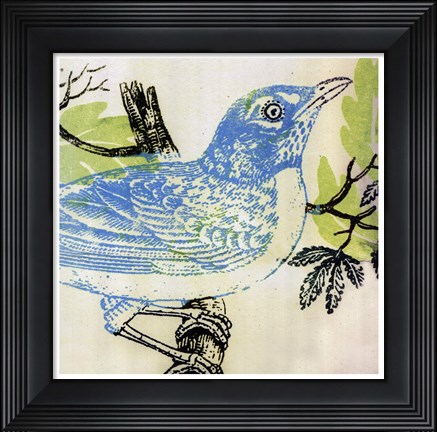 Framed Bluebird Print