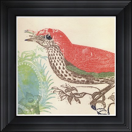 Framed Red Bird Print