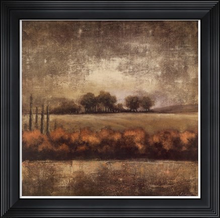 Framed Field at Dawn II Print