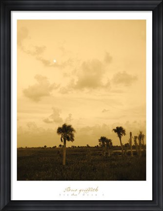Framed Viera Dusk I Print