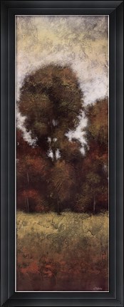 Framed Wilds II Print