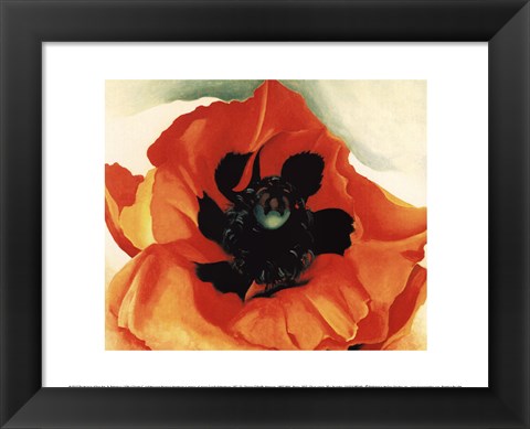 Framed Poppy, 1927 Print