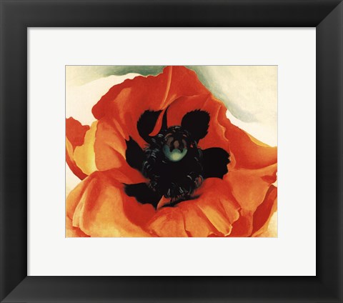 Framed Poppy, 1927 Print