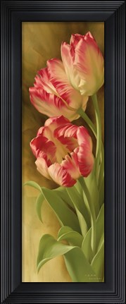 Framed Spring&#39;s Parrot Tulip II Print