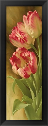 Framed Spring&#39;s Parrot Tulip II Print