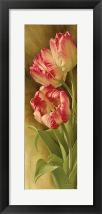 Framed Spring&#39;s Parrot Tulip II Print