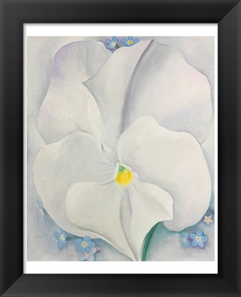 Framed White Pansy Print