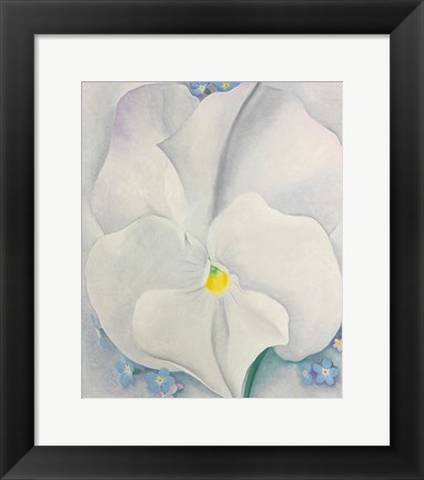 Framed White Pansy Print